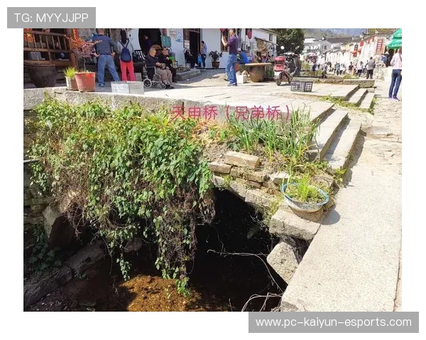 韩国足球队申姓球星的崛起与挑战 逐梦之路的背后故事